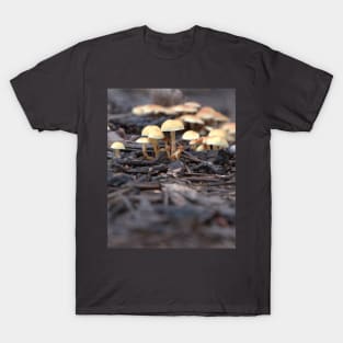 Mushroom Family T-Shirt